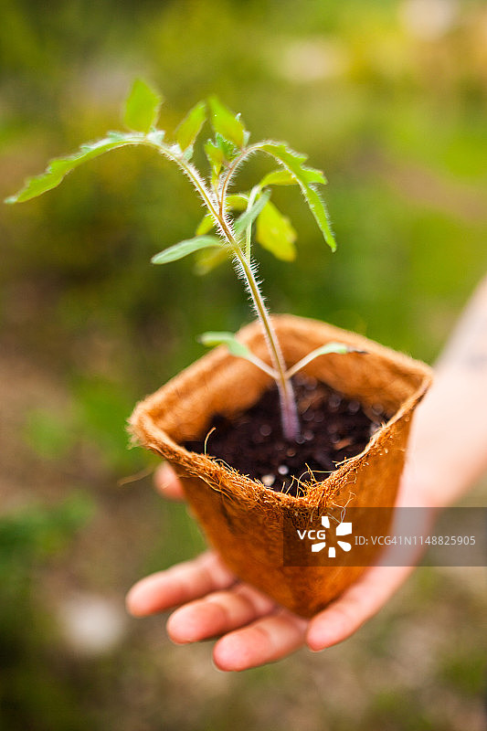 植树节图片素材