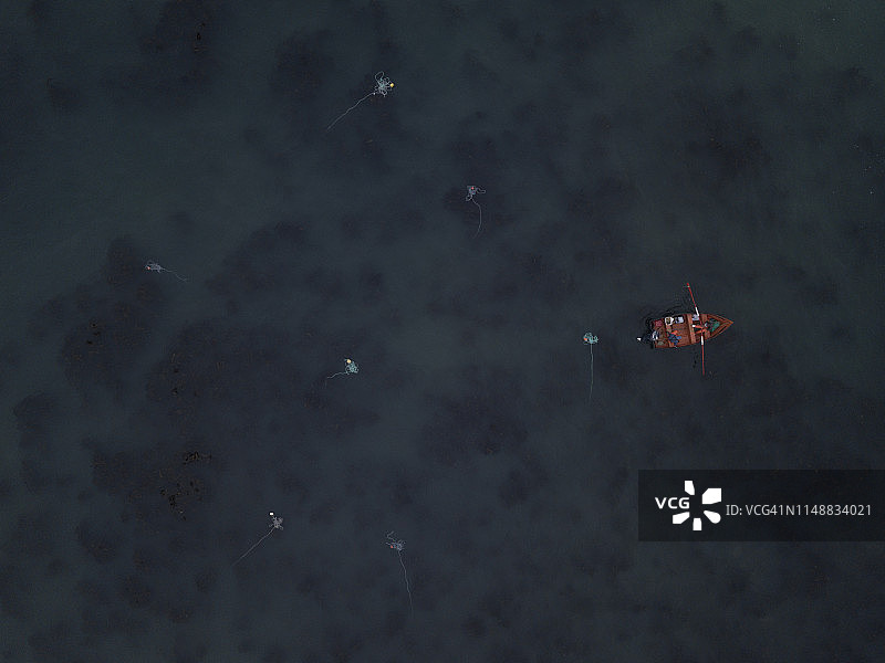 从天空看到的捕螯虾渔民和螯虾诱饵的划艇图片素材