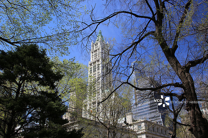 仰视纽约市伍尔沃斯大厦图片素材