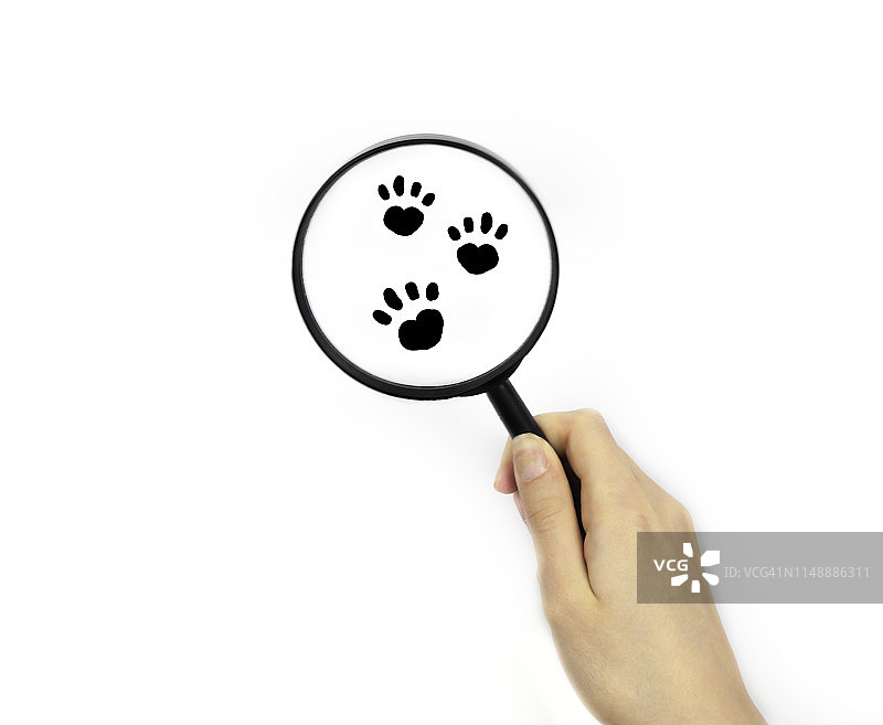用放大镜观察爪印图片素材