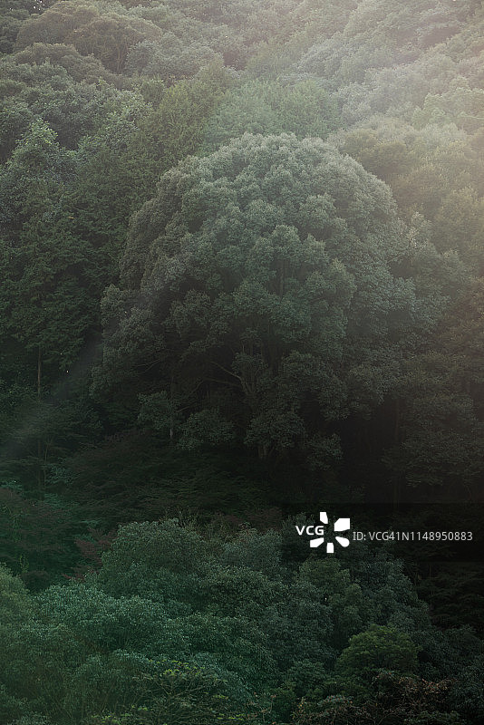 九州嬉野漫步道图片素材