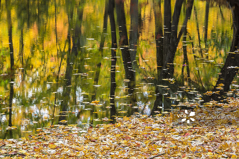 缅因州河流中的秋色倒影图片素材