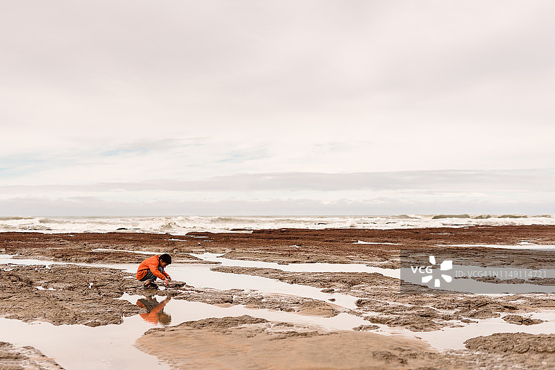 在新西兰潮汐池中看岩石的男孩图片素材