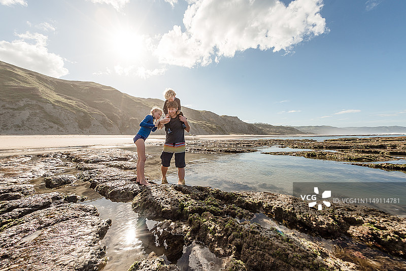 父亲在潮汐池向两个孩子展示海洋动物图片素材