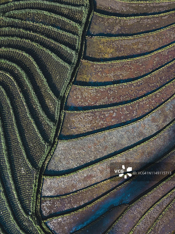 稻田航拍图片素材