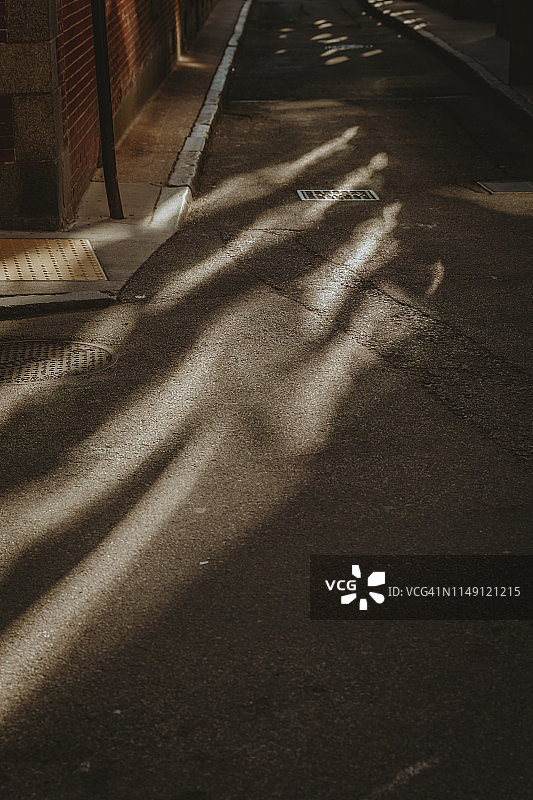 晨光洒在乡间小路图片素材