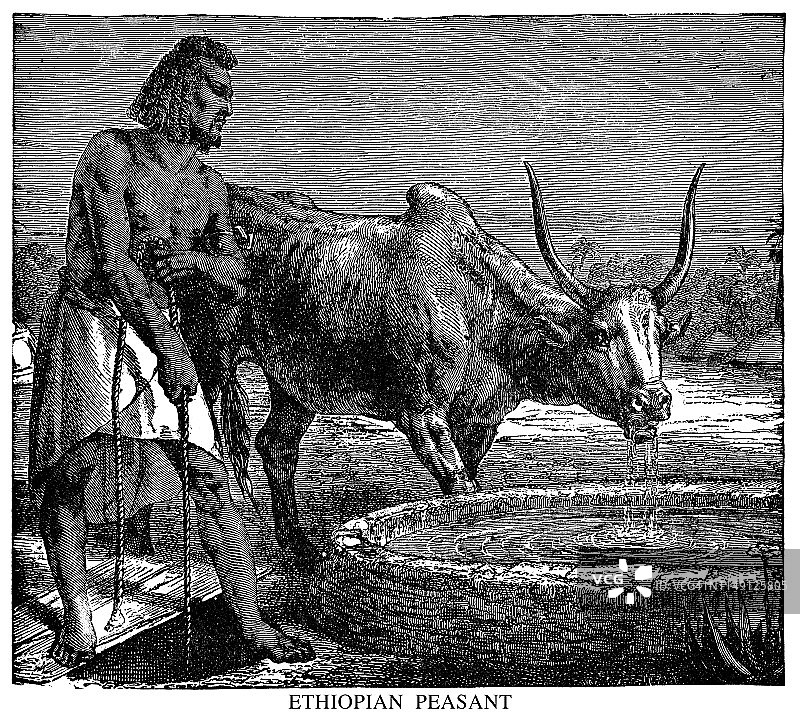 埃塞俄比亚农民图片素材