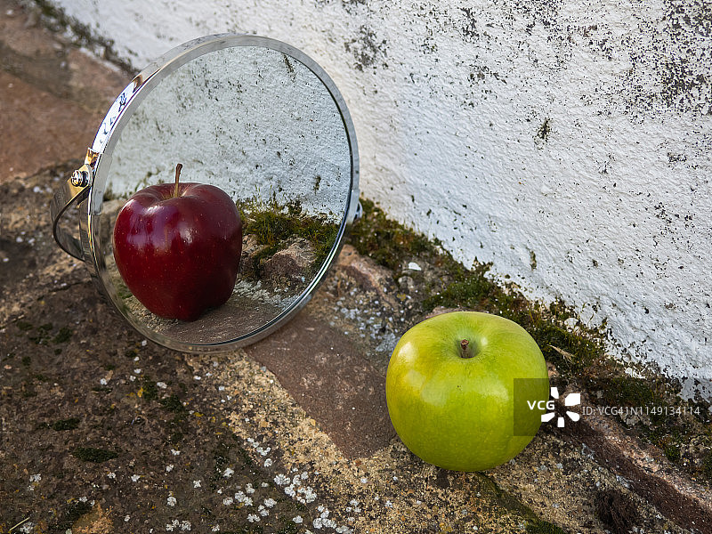 镜子里映出红苹果的青苹果：多样性概念图片素材