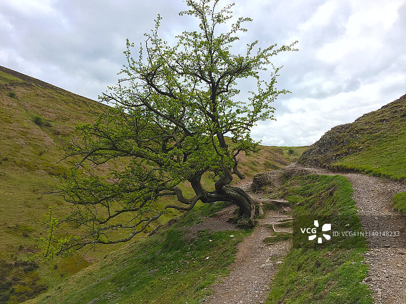 风景_02图片素材