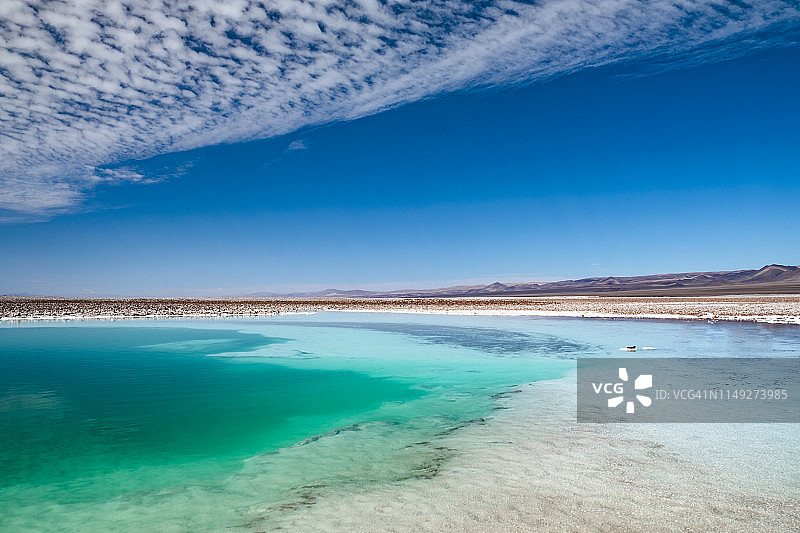 阿塔卡马沙漠 Baltinache 隐藏的池塘图片素材