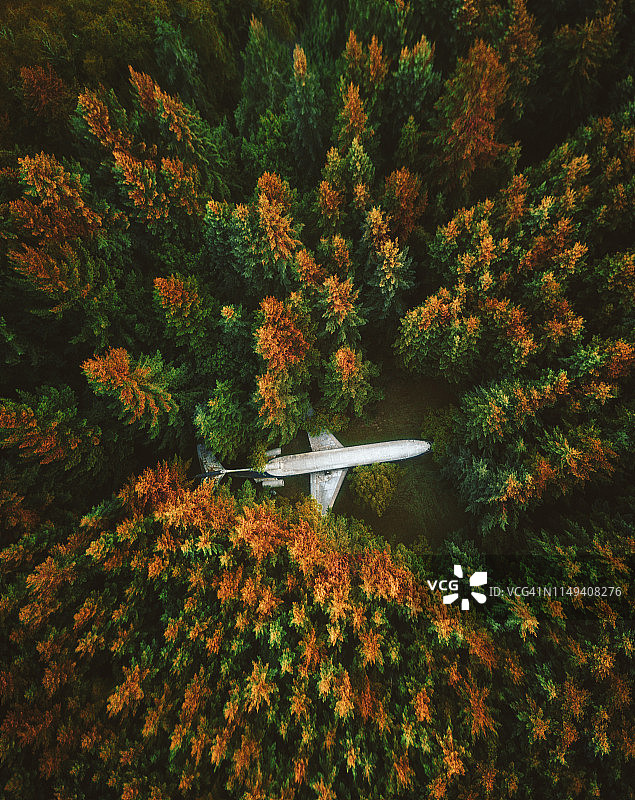迷失在森林中的飞机图片素材