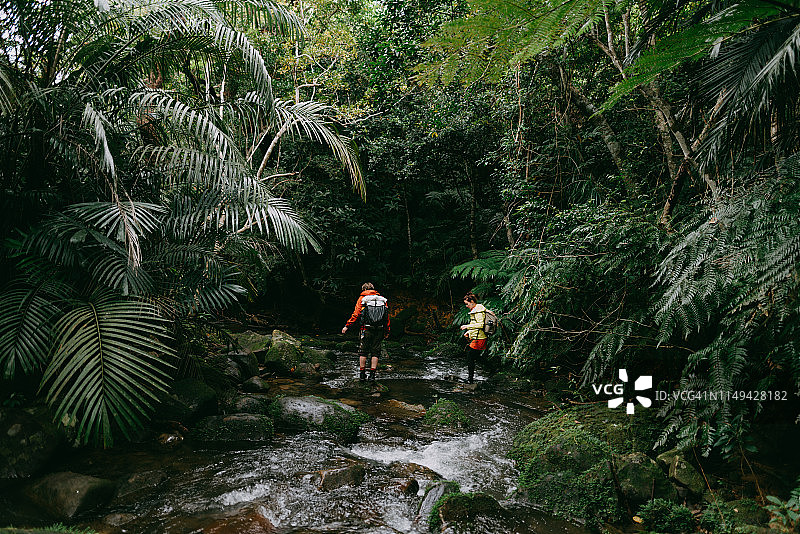 日本冲绳县西表岛雨林中的河流徒步图片素材