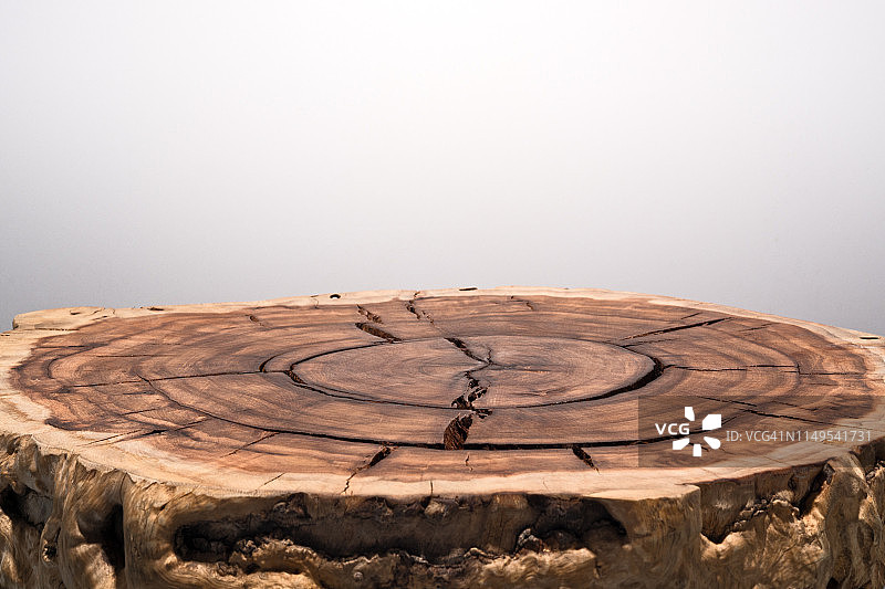 树干切片表面图片素材