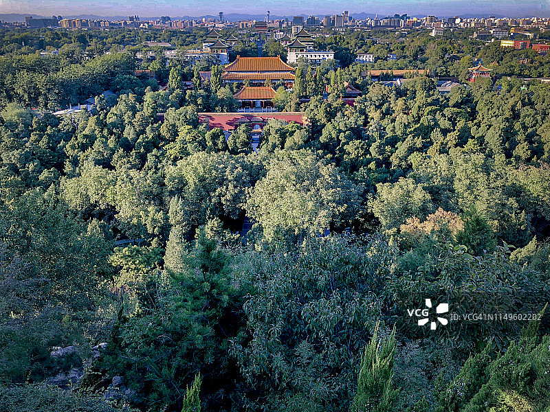 俯瞰紫禁城的景山公园图片素材