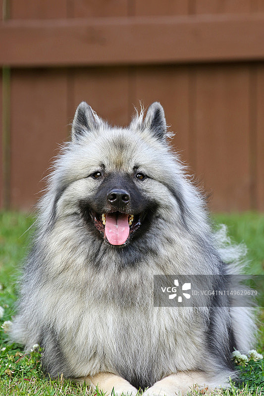 坐姿优美图片素材