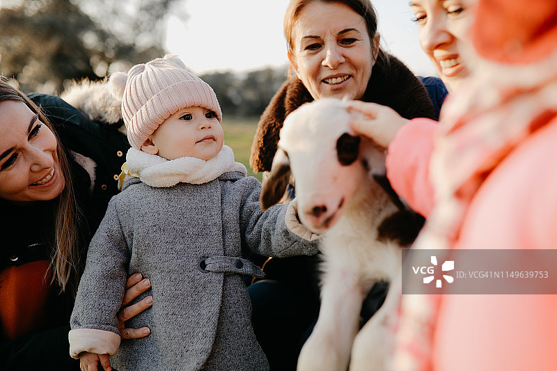 年轻女孩和母亲在有机农场喂羊图片素材