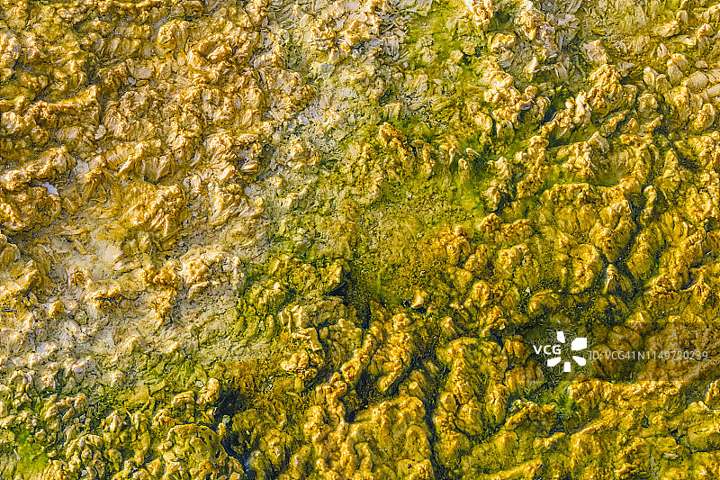 黄石国家公园在怀俄明州图片素材