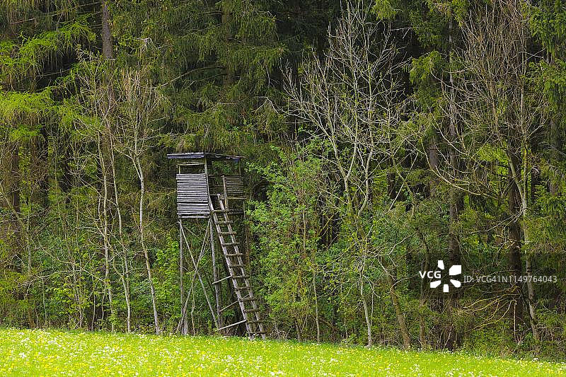 德国巴登-符腾堡州森林边缘的猎人高位观察哨图片素材