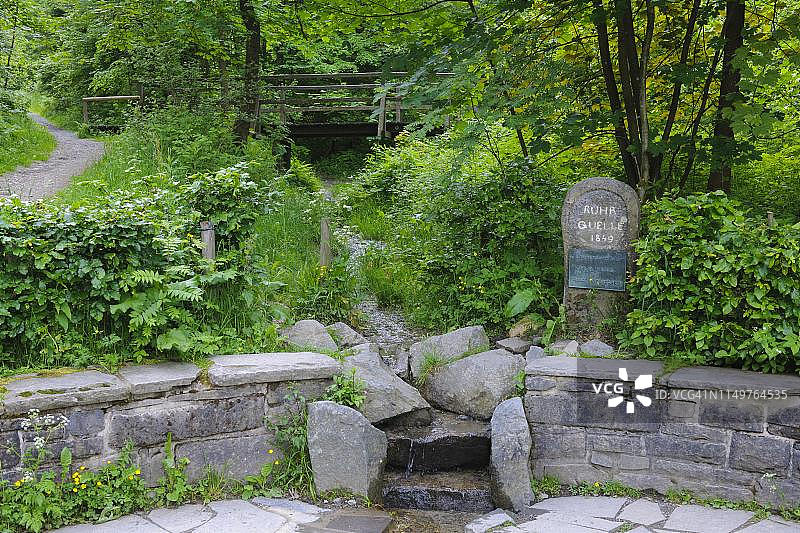 鲁尔河畔的边框春天，靠近埃尔克林豪森，温特贝格，霍赫绍尔兰，北莱茵-威斯特法伦，德国图片素材