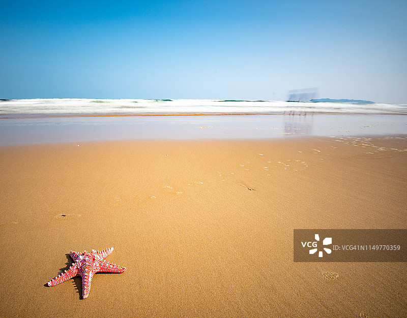 沙滩上的海星图片素材