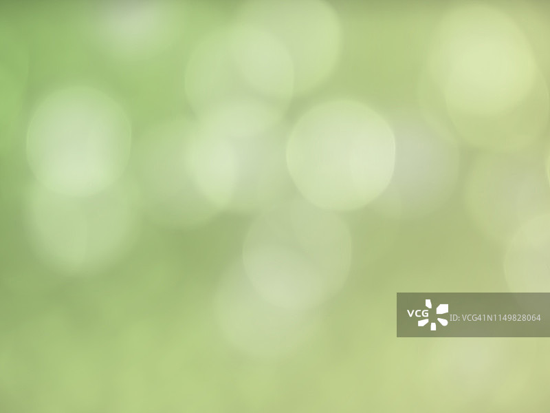 浅绿色圆形散景灯光特写图片素材