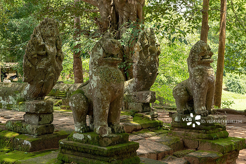 树林里的四个狮子和蛇雕像图片素材