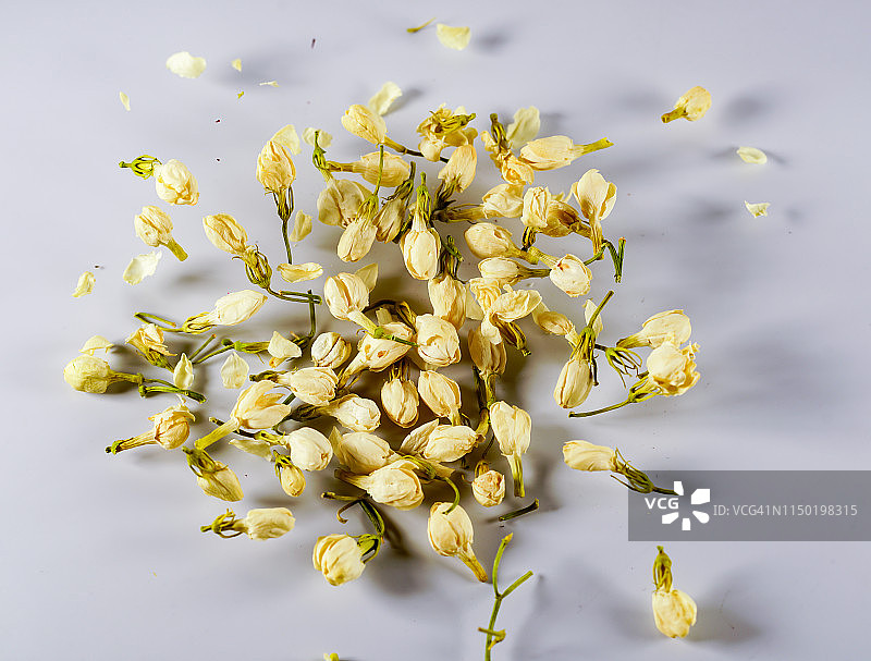 白色背景下缓慢舞动的茉莉花图片素材