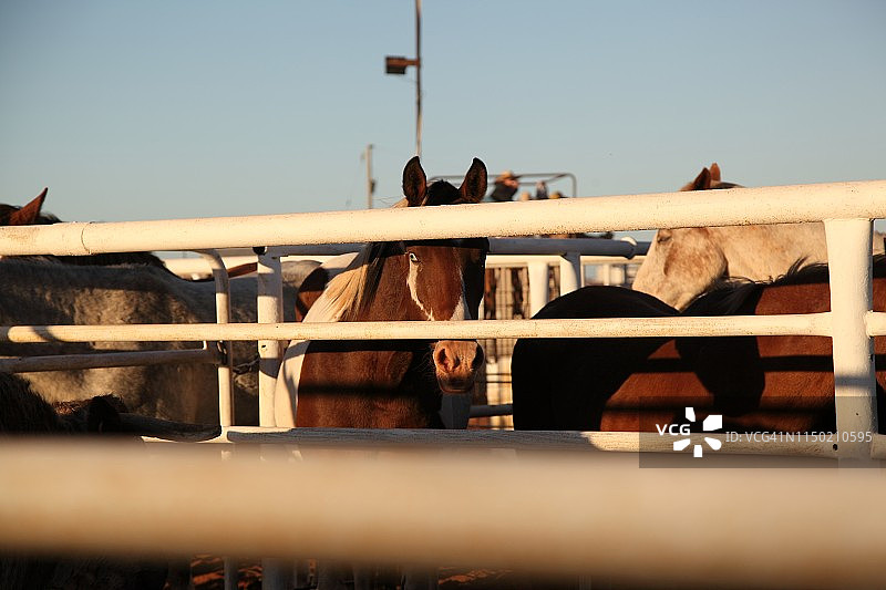乡村风光图片素材