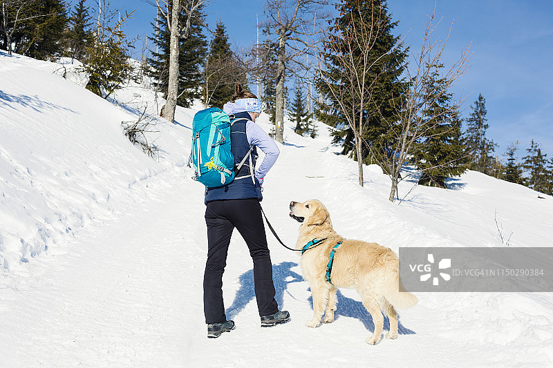 德国巴伐利亚森林：卢森冬季徒步女子与狗图片素材