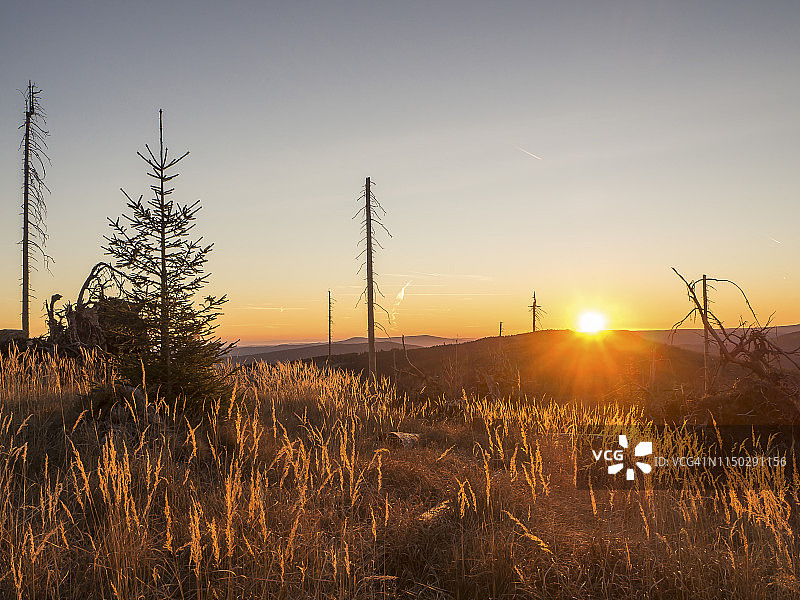 德国巴伐利亚巴伐利亚森林，拜里施艾森施泰因附近拉肯贝格的日出图片素材