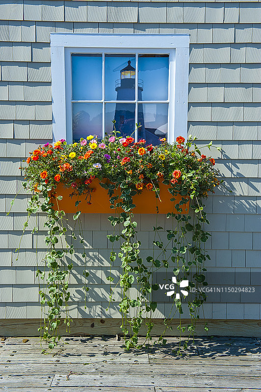 美国缅因州，带有窗户上花束的Shindle房子，巴尔港，阿卡迪亚国家公园的入口图片素材