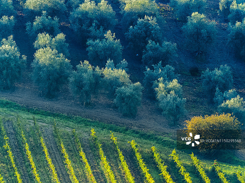 意大利托斯卡纳和翁布里亚地区图片素材