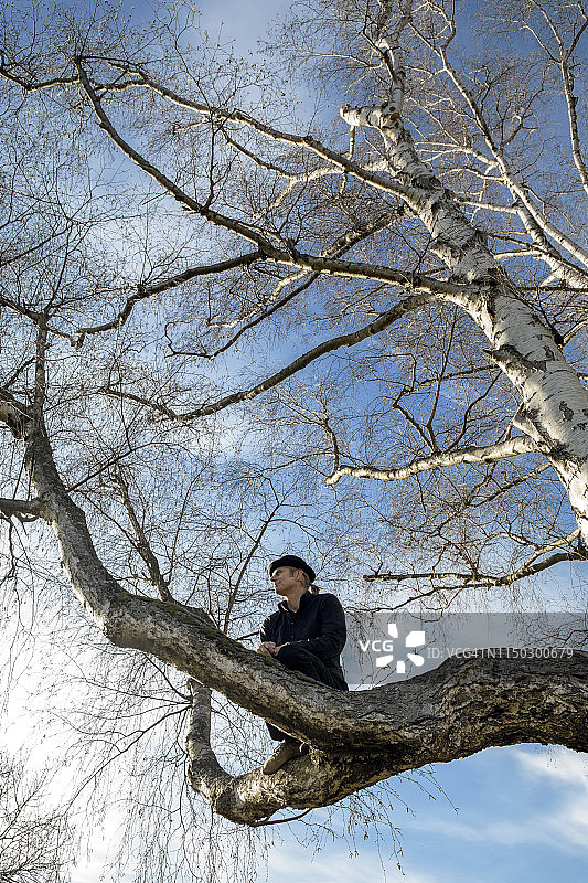 男人坐在树上向外看图片素材