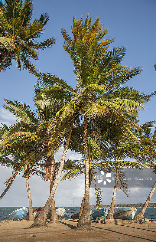 沙滩上的渔船图片素材