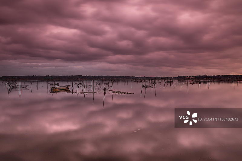 日出前的沼泽图片素材
