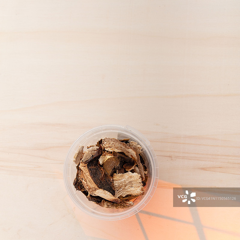 牛肝菌图片素材