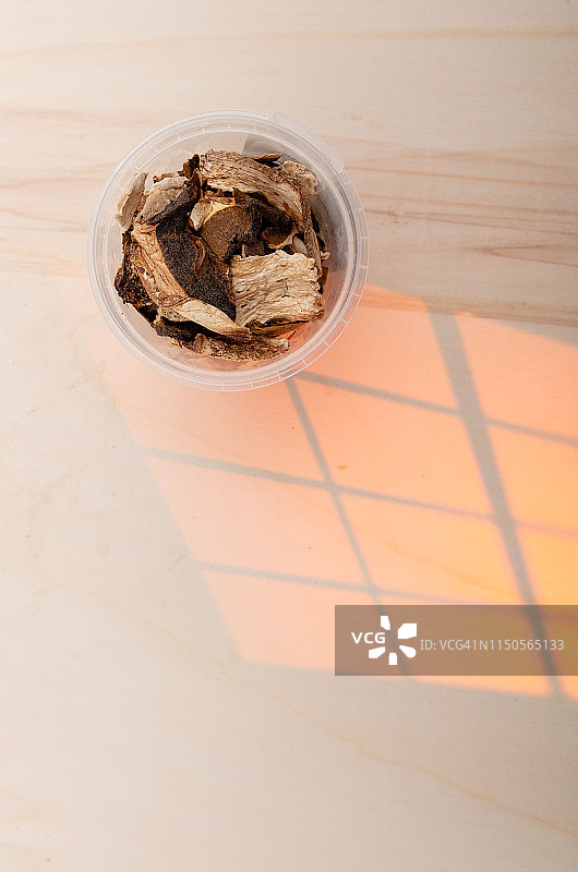 牛肝菌图片素材