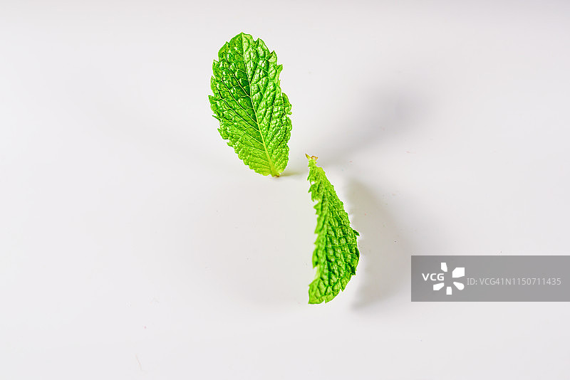 白色背景上高速拍摄的薄荷叶图片素材