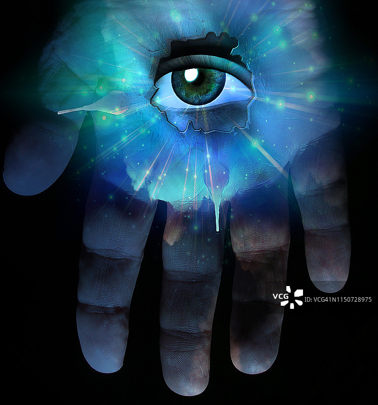 所有的导盲犬图片素材