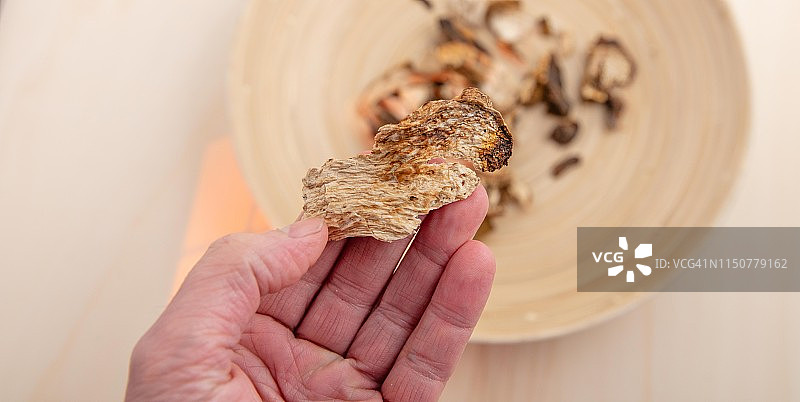 牛肝菌图片素材