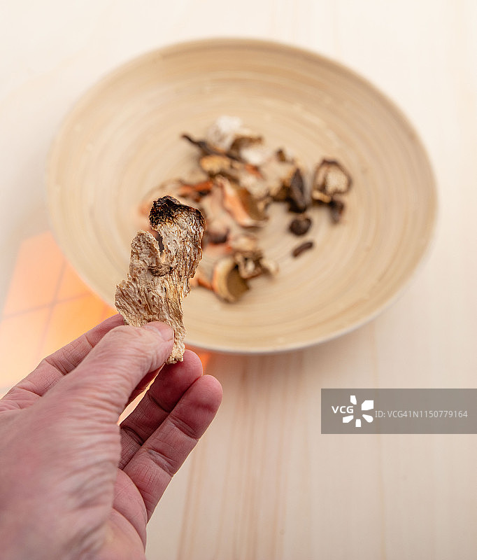 牛肝菌图片素材