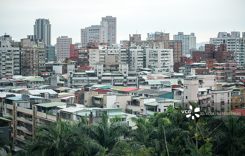 中国台湾台北市的市中心区，前景为绿色植物图片素材