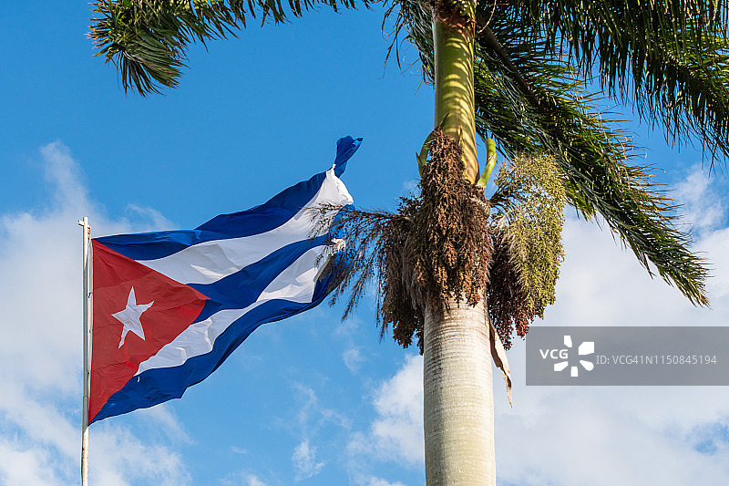 古巴的象征：国旗和王棕树图片素材