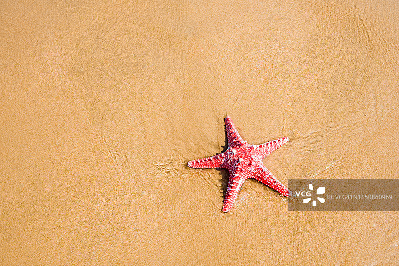 沙滩上的海星图片素材
