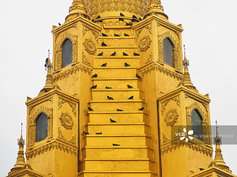 缅甸南部叶市附近金色佛教寺庙上的鸟类图片素材