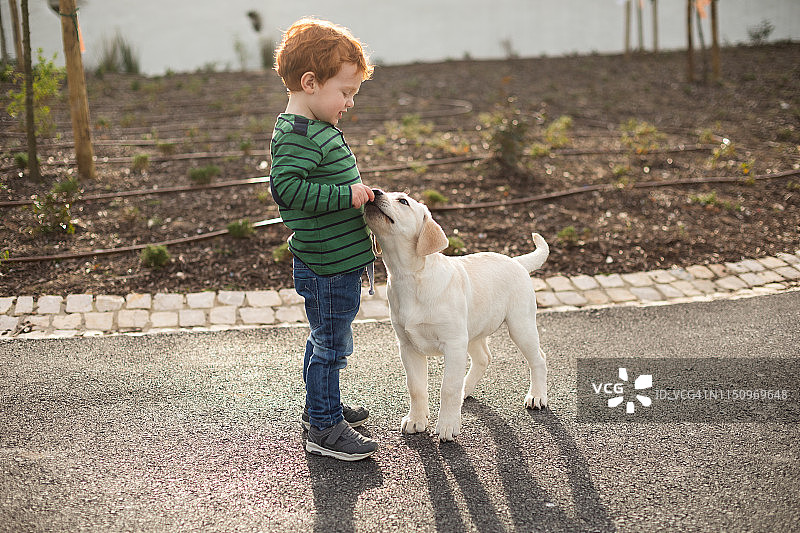 男孩给宠物小狗训练奖励图片素材