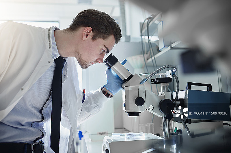 如果有什么能找到答案，那就是显微镜图片素材