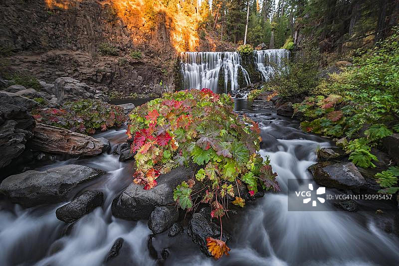 米德尔瀑布，秋季瀑布，麦克劳德河，美国加利福尼亚州锡斯基尤县图片素材