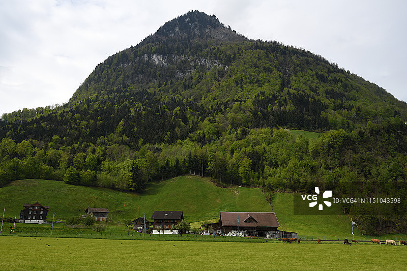 瑞士沃尔芬斯chiessen山地景观图片素材