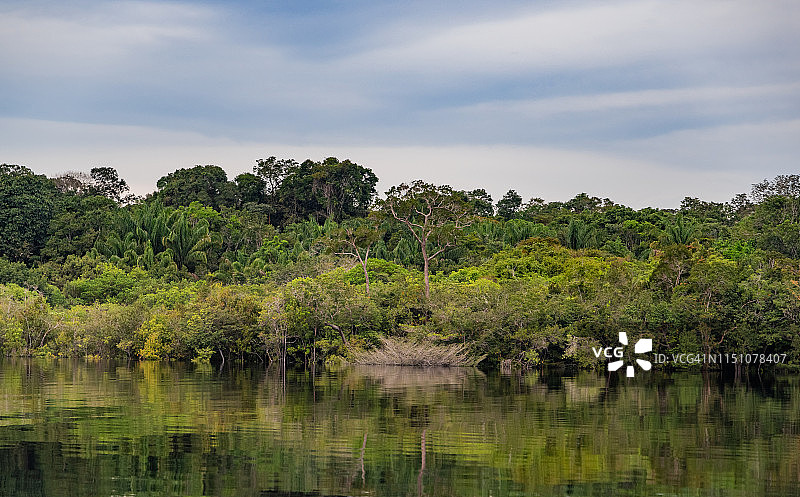 乌鲁布河的丛林河岸倒影图片素材